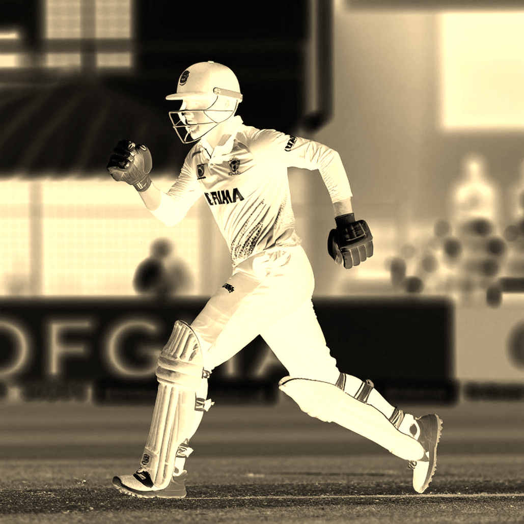 Insufficient Information: The Empty Cells of Cricket Analysis and the Temptation to Lie Insufficient Information: The Empty Cells of Cricket Analysis and the Temptation to Lie